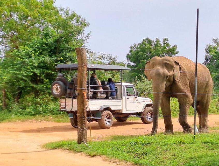 אודוואלאווה Wild Park Safari Home Stay מראה חיצוני תמונה