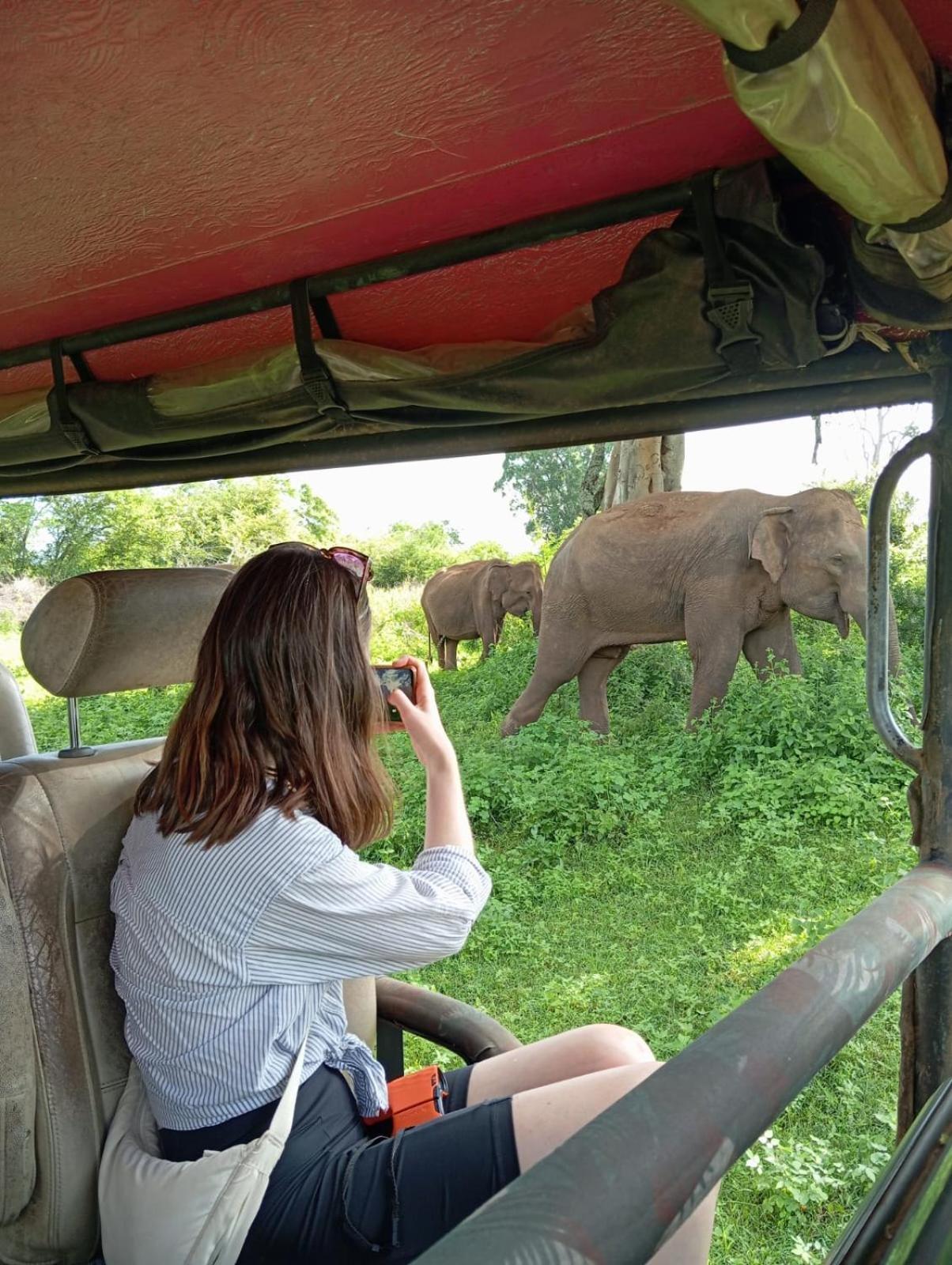 אודוואלאווה Wild Park Safari Home Stay מראה חיצוני תמונה