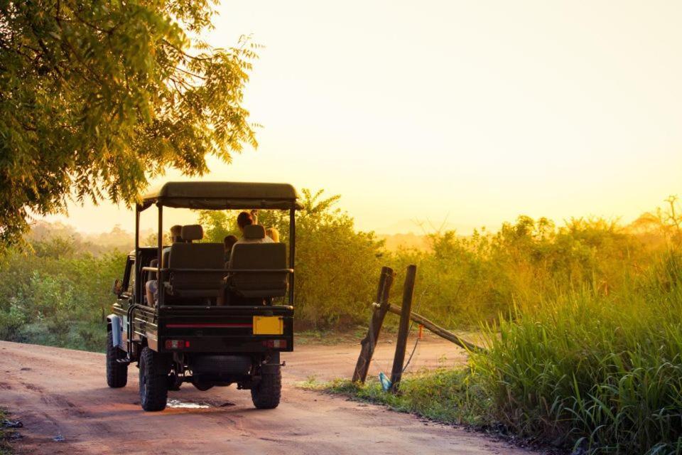 אודוואלאווה Wild Park Safari Home Stay מראה חיצוני תמונה