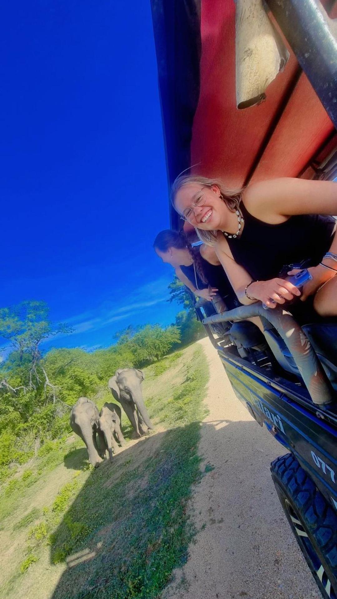 אודוואלאווה Wild Park Safari Home Stay מראה חיצוני תמונה